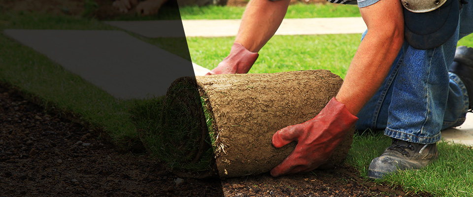 Waco Landscapers